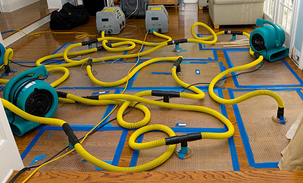 Professional Water Extraction technician working in Unionville, MI